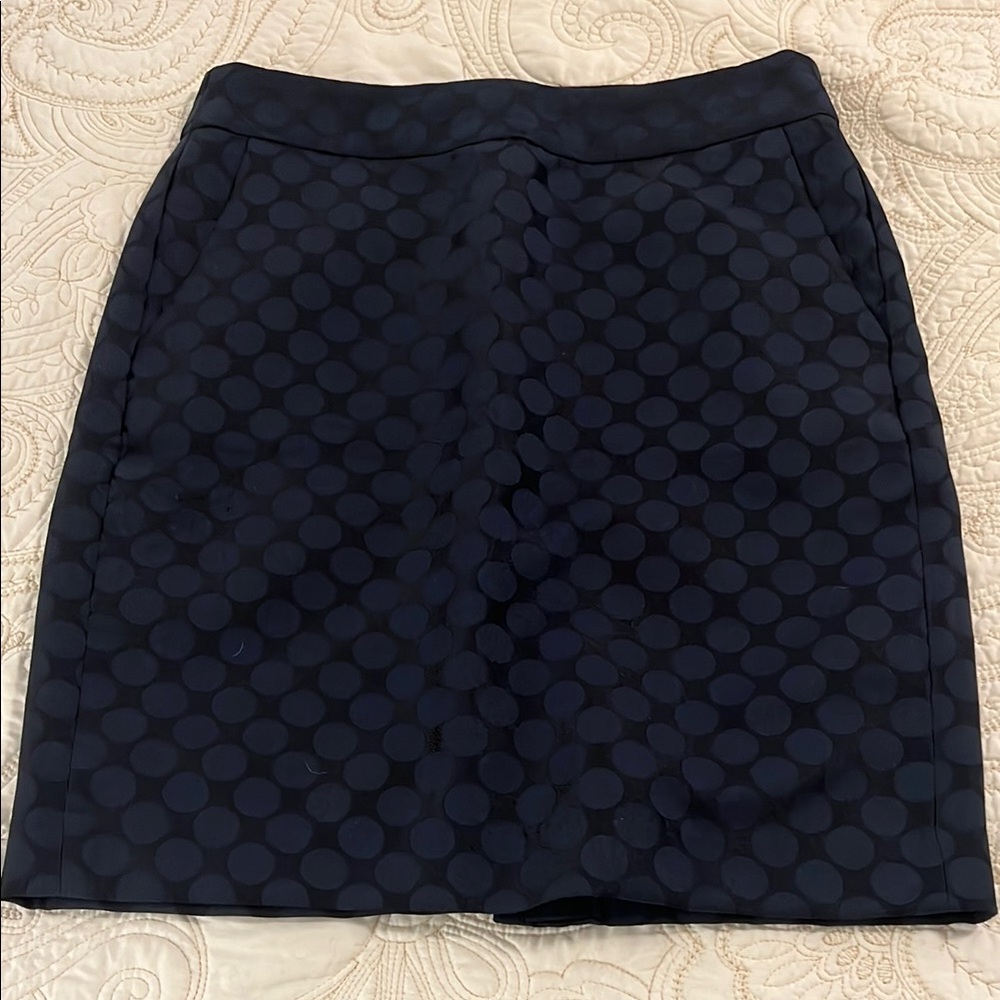 Banana Republic Navy Blue Pencil Skirt for Work